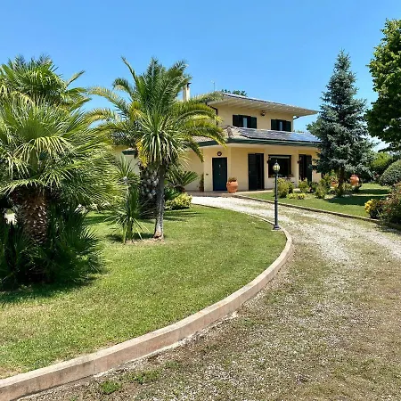 Don Peppino-2